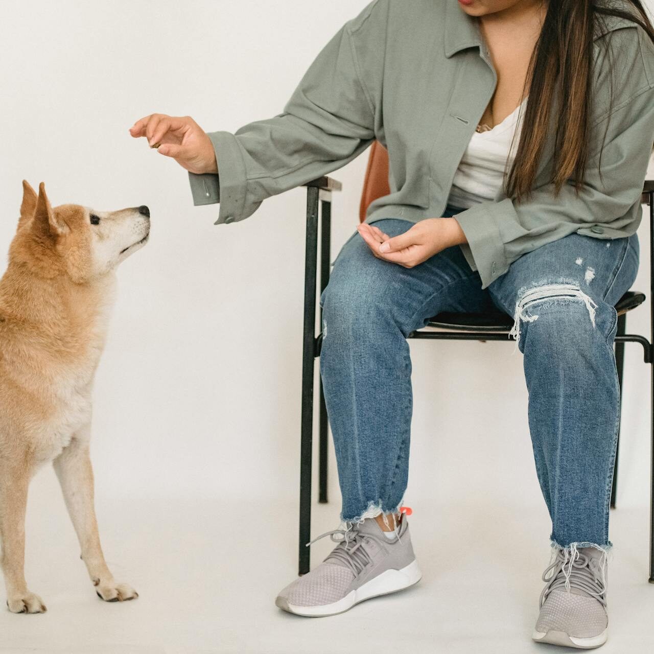 dog trainer treat dog trainer treat