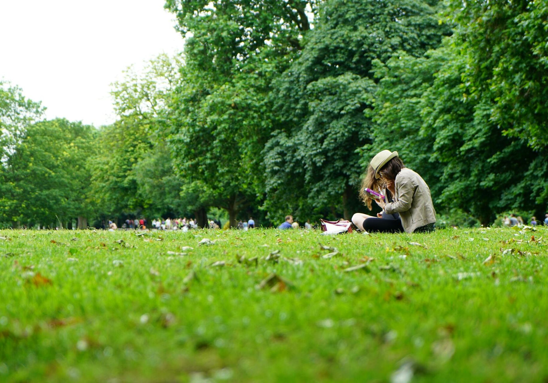 people at park people at park