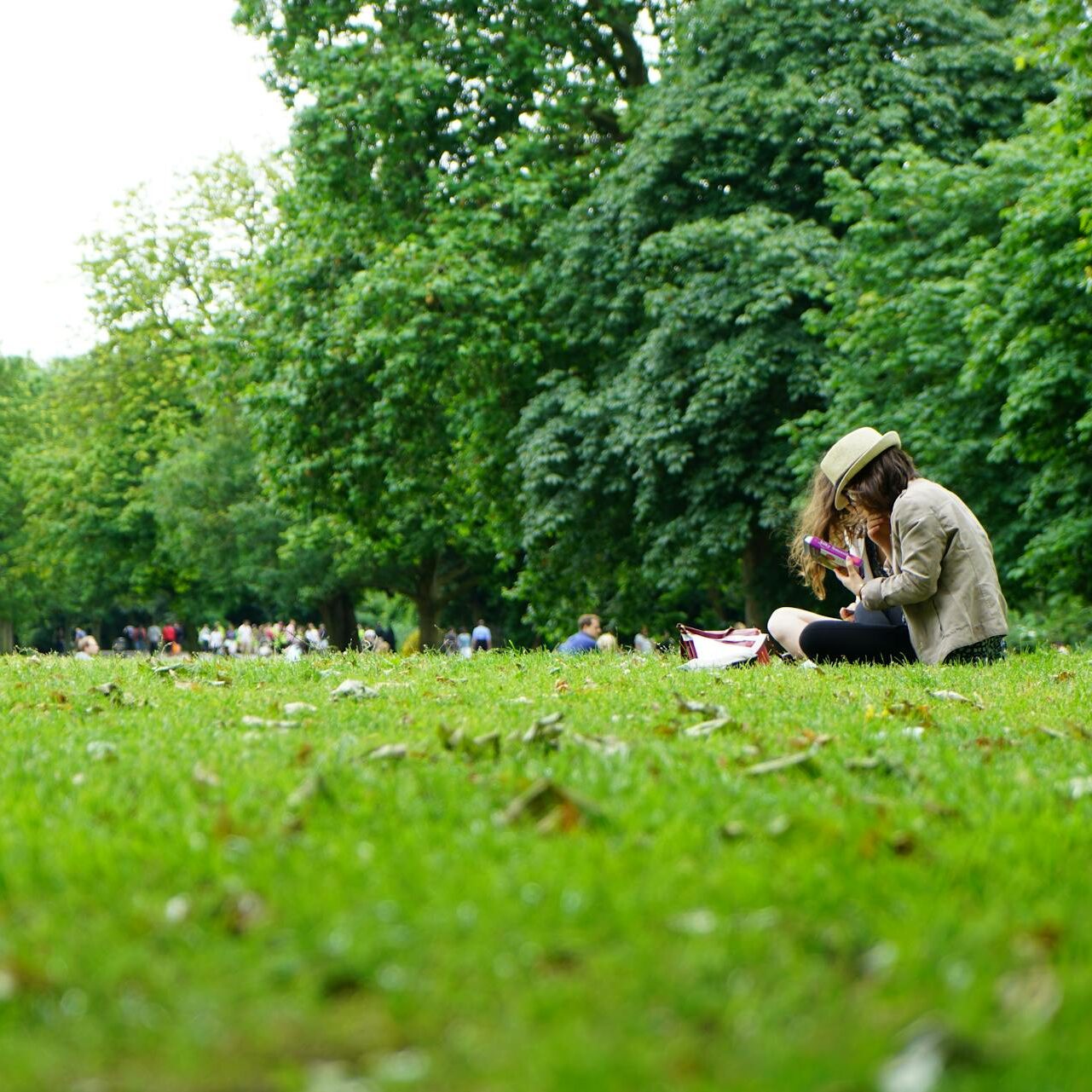 people at park people at park